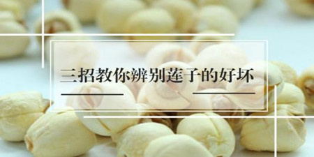 鉴别类软件合集