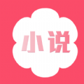 桃花小说网破解版
