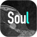 soul历史版