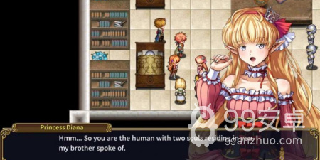 百宝袋汉化组rpg直装手游合集