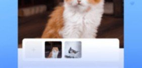 悄悄视频聊天交友app合集