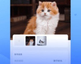 悄悄视频聊天交友app合集