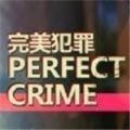 完美犯罪