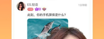 爱速配app合集