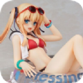 二次元视频vip版