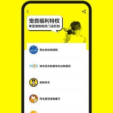 宠物超多的国产武侠手游合集