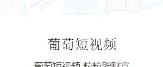 葡萄视频在线观看app合集
