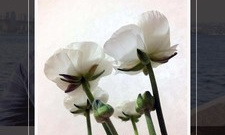 无水印的拍照app合集