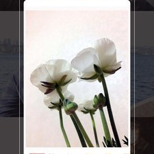无水印的拍照app合集